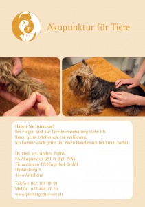 HR_Flyer_A5_akupunktur_DEF2